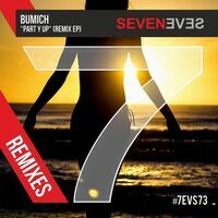 Cover: Bumich - Part Y Up (Remixes)